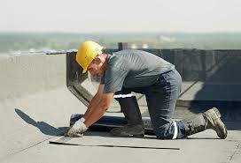 Best Storm Damage Roof Repair  in Oakland Park, FL